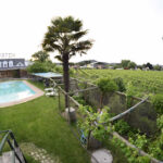 Hotel Euro Charles - San Javier 2 AF1QipPA7AvdW4vwS6KeTc1yei43j238Yr8qnNVO21 Pw408 h272 k no