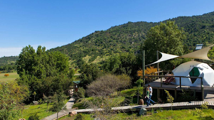 AF1QipPB2GcSrya7PzKunSAzt1ol49XxQ aD 2xawCRdw425 h240 k no