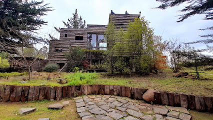 AF1QipPFE97nfSWmt5P ALZoWXH9wKiWlHFnBAoO t w426 h240 k no