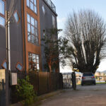 Hotel Entre Tilos - Valdivia 10 AF1QipPO0wcsGbFsoTC I0lEaTRlypMH6Qjq1rWayK56w408 h272 k no