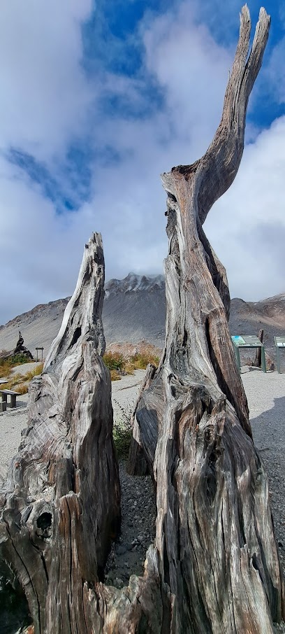 AF1QipPO8QzRXiTf sGR0Nm5LP9PSxvZQ 8fY JSmhabw408 h906 k no