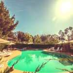 AF1QipPRy0PGfW NeCrYT0R3rcJib8bk4OIjglyP2jxaw427 h240 k no