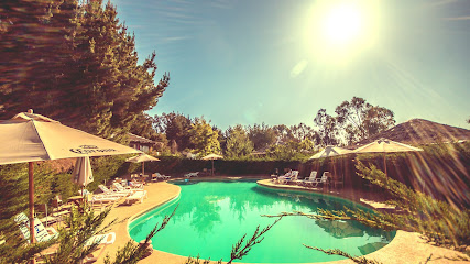 AF1QipPRy0PGfW NeCrYT0R3rcJib8bk4OIjglyP2jxaw427 h240 k no