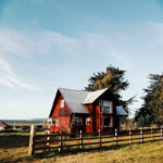 Ekos del Monkul - Carahue 6 AF1QipPSDiQ6DZn Qz87JJd6DEx7H5k WsJ5xOblXstzw408 h544 k no