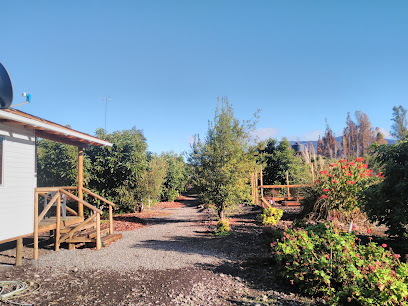 AF1QipPWV1LO51vJ1Jm5r tcz9bjrX6MEeb7luLIAJKCw408 h306 k no