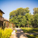 AF1QipPYK4LIakX5dxuO2BNGB5 vHWChntn8n5G5oszHw408 h272 k no