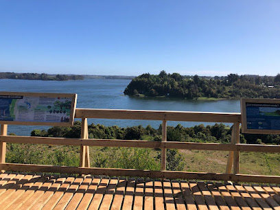 AF1QipPamH5I68B3cJVXYzeIru0EggzuZGt7lr2tAGNtw408 h306 k no