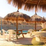 AF1QipPazFY7zPpuYVRlamKCvfmINyMSmt1LhmlFWGkhw408 h271 k no