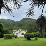 Hostal Quechupehuen - Curarrehue 3 AF1QipPb 4nu8kcGrHUoKn5e0IMB7wEgqjzY lff1TOLw408 h306 k no