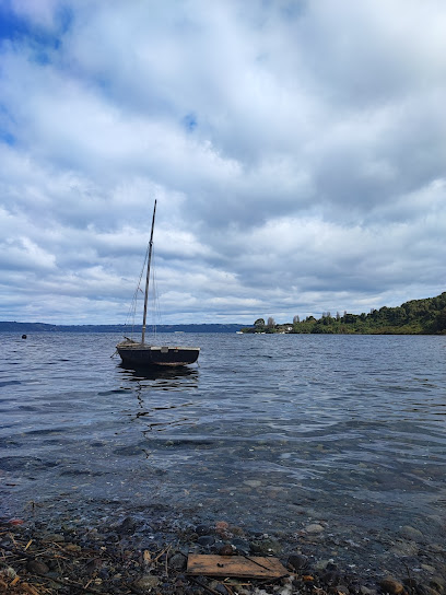 AF1QipPi0U sco8wzCxleacOVsCcN7pNbIHY3l1uoMpEw408 h544 k no