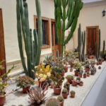 AF1QipPj6Q7 UDMx1m HaWiz4QvuL inDisqBQ1khIMgw408 h725 k no