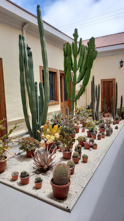 AF1QipPj6Q7 UDMx1m HaWiz4QvuL inDisqBQ1khIMgw408 h725 k no