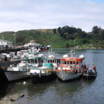 AF1QipPmYb7yOG7JNoRR6n01p1wkYhdrVEX0GLI1A3F9w408 h244 k no