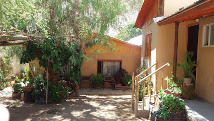 AF1QipPnZxCs7aDsQYq9VSg2xuxQnquTXnykFRuLV9GJw426 h240 k no