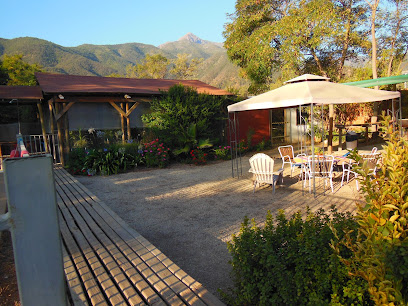 AF1QipPun08vTz6TyYOfBav2FakyOE1G xjFKJO0vKraw408 h306 k no