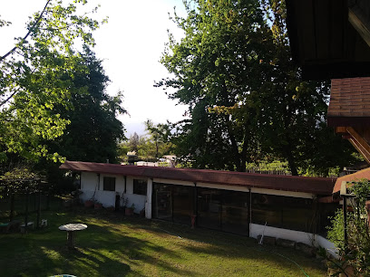 Los Pequenes, Club de Campo – San Vicente de Tagua Tagua