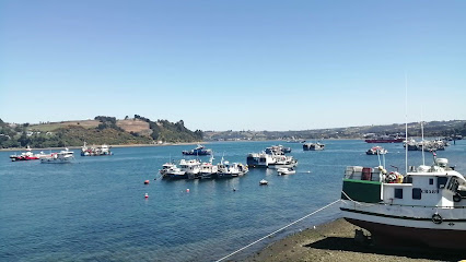 AF1QipPyy7PREwIPAHZF Ta2agAhmOYba zuhBVw3hryw426 h240 k no