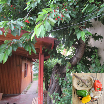 AF1QipPzFNTadbRBgeKYAMKEikGyV6SbmGvtf3GcPnehw408 h408 k no